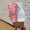 ジェラート工房 ポーラーベア - ダブルコーン(税込510円)
ボリュームにビックリ、どちらも滑らかな食感
①野苺(フレーズ・デ・ボア)
少しの甘酸っぱさ、スッキリとした甘み
②ピュアミルク
軽やかなミルクの優しい甘み