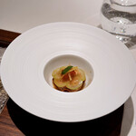 ジョンティ アッシュ - 