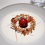 ジョンティ アッシュ - 