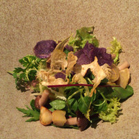 TRATTORIA CREATTA - 
