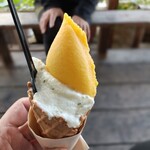 リッコジェラート - 