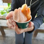 リッコジェラート - 