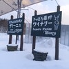 カフェ＆レストラン ヴィーニュ - 