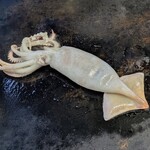 お食事処 きよ美 - 