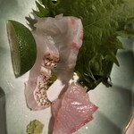 石臼挽手打 そばの音 - 