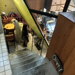 ALDO - 