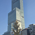 青いナポリ イン・ザ・パーク - 