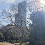 青いナポリ イン・ザ・パーク - 