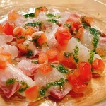 hide mode - カルパッチョ