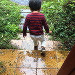 CAFE　SUKKO - 3歳（♂）と