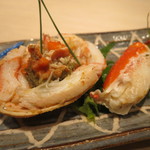 くろぎ - 香箱蟹