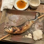 居酒屋 ちょーちょ - 鰯！