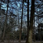 スイーツby軽井沢エレガンス - 