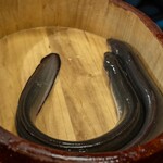 銀座 四代目 高橋屋 - 