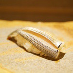 鮨 さいとう - こはだ（2014/9）