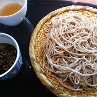 紗羅餐 本店 - 十割ざる蕎麦