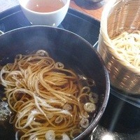 紗羅餐 本店 - かけ蕎麦