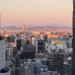 かぶらや総本家 - 