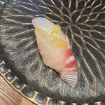 新橋クラフトサケ醸造所 UBU - 