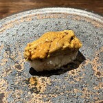 壮士 - ムラサキウニ