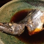 魚匠 銀平本店 - 煮魚<サゴシ>