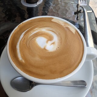 ラッコ アメーノ_1