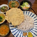 月と亀 - 『鰯のつみれカレー定食』1,200円＋『追加の小鉢カレー（本日のカレー 茨城産れんこん入りキーマカレー）』430円