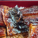 炭焼うなぎ あおいや - 