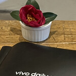 vivo daily stand - 