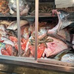 おかもと鮮魚店  - 魚達。