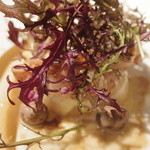 レフェルヴェソンス - ふきよせ〜 鮟鱇のロティ&大根、ムール貝、白味噌、辛子水菜、むかご、柚子