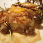 レフェルヴェソンス - ふきよせ〜 鮟鱇のロティ&大根、ムール貝、白味噌、辛子水菜、むかご、柚子