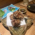 アポロプラス - 
