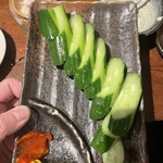 炭火焼き鳥 とさか - 