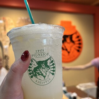 ネコモシャクシモ_1