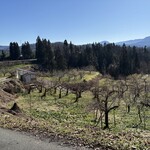 幸作りんご園 - 【和合平】りんごの樹