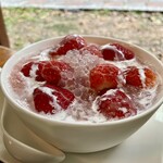 騒豆花 - 草莓豆花