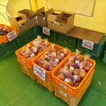 幸作りんご園 - 2025年12月平日