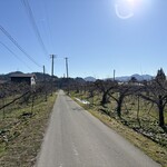 幸作りんご園 - お店まわり