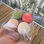 カズノリ イケダ アンディヴィデュエル 定禅寺通店 - 