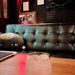 Cafe&Bar Paulownia - 