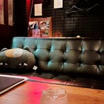 Cafe&Bar Paulownia - 
