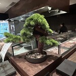 焼とりの八兵衛 六本木店 - 