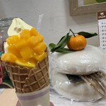 パーム - マンゴーソフトＲ