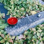 ヨコクラうどん - 