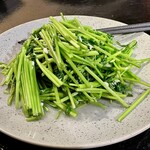 My灶 - 水耕空心菜