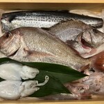 赤吉 - 本日の魚