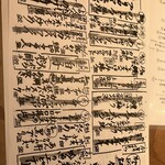 吟魚のはなれ  吟チロリ - 