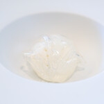 プレゼンテ スギ - 2025.12 魅力（飴色カリフラワーのペースト、カリフラワーの白いムース、カリフラワー茹で汁の透明ゼリーシート）