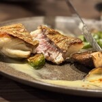 BISTRO 木下カメラ店 - 